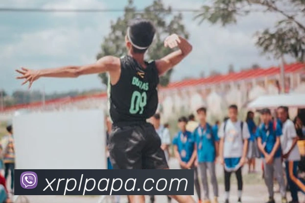 App Interface Preview